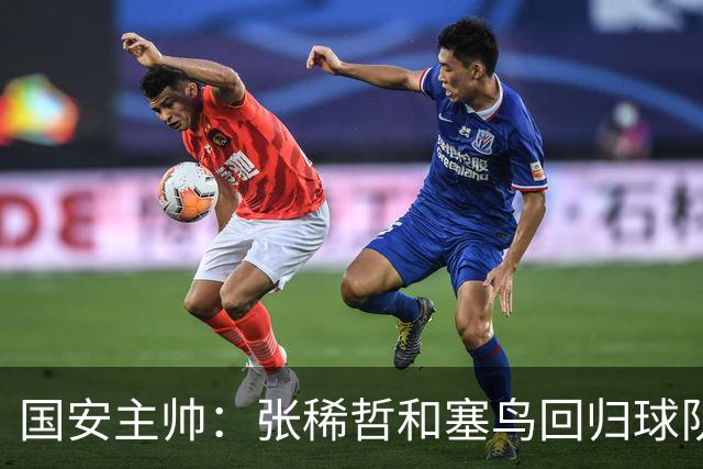 国安主帅：张稀哲和塞鸟回归球队 我们在主场很有信心